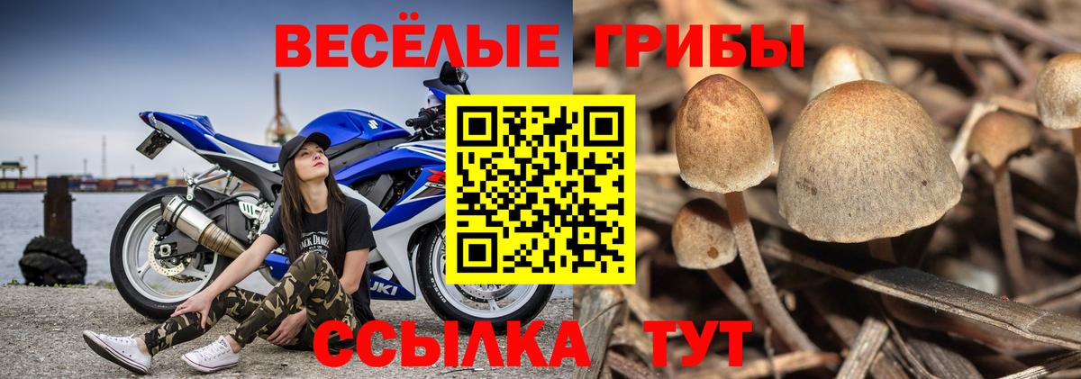  Cocaine Павлово