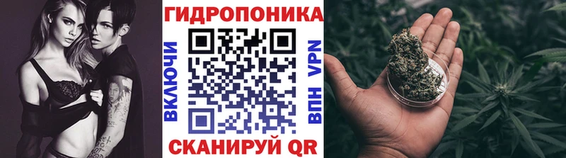 Марихуана сатива  Павлово 